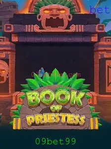 Descubra o Empolgante Mundo do Jogo BookOfPriestess