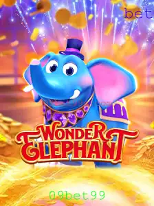 Descubra o Fantástico Mundo de WonderElephant